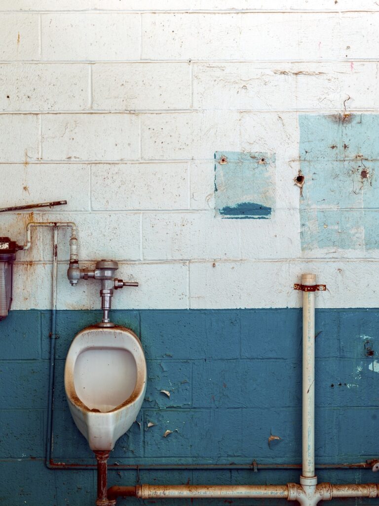 toilet, loo, wc-1652862.jpg